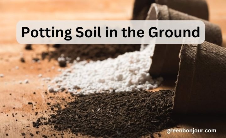 can you use Potting Soil in the Ground