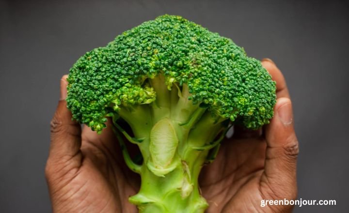 broccoli man made

